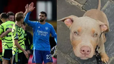 Looking for safety, Arsenal star training this XL pet to protect from burglars