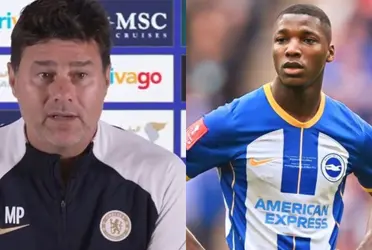 Mauricio Pochettino confirmed the club would be trying to sign him at any cost